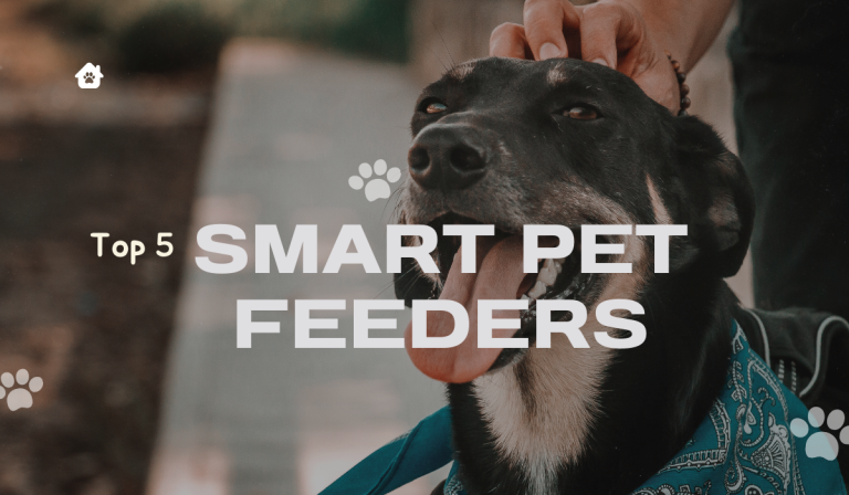 Top 5 Smart Pet Feeders in Canada